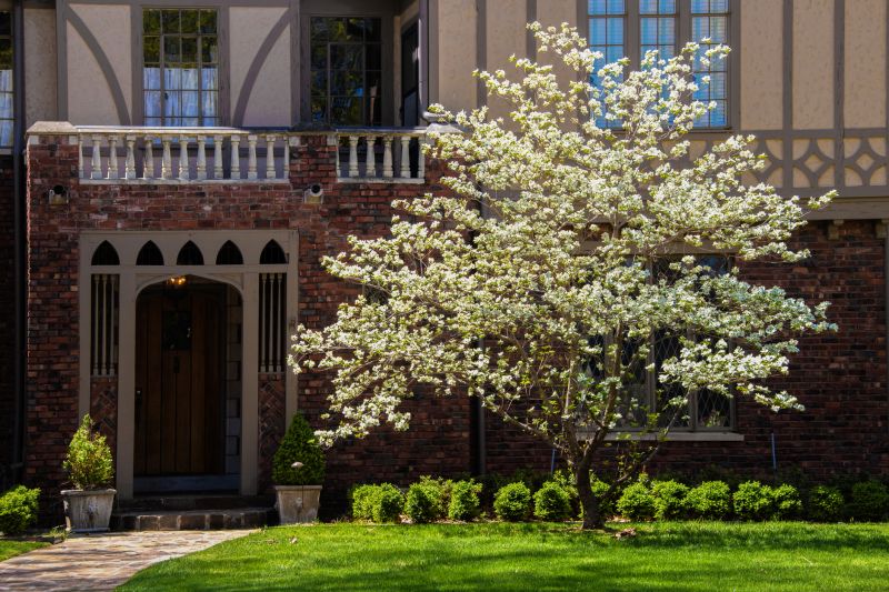 Cherry Tree Planting in Ventura County, CA