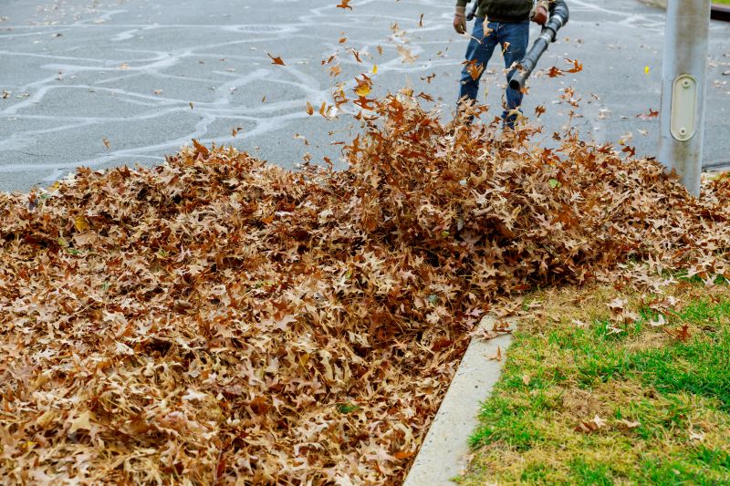 Leaf Blowing Efficiency
